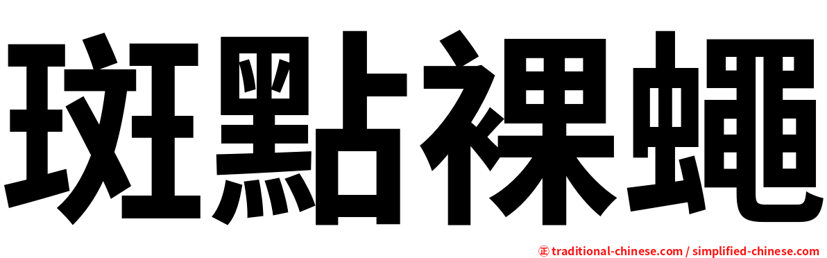 斑點裸蠅