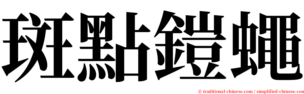 斑點鎧蠅 serif font