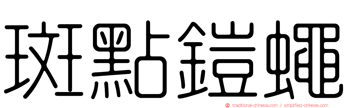 斑點鎧蠅