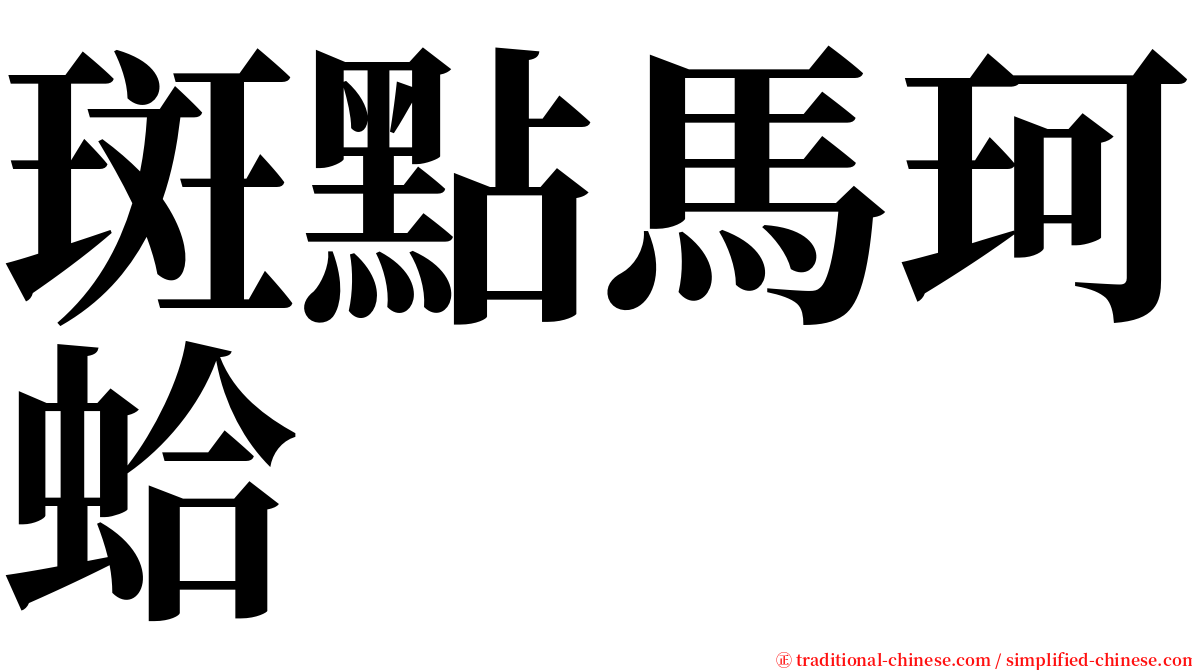 斑點馬珂蛤 serif font