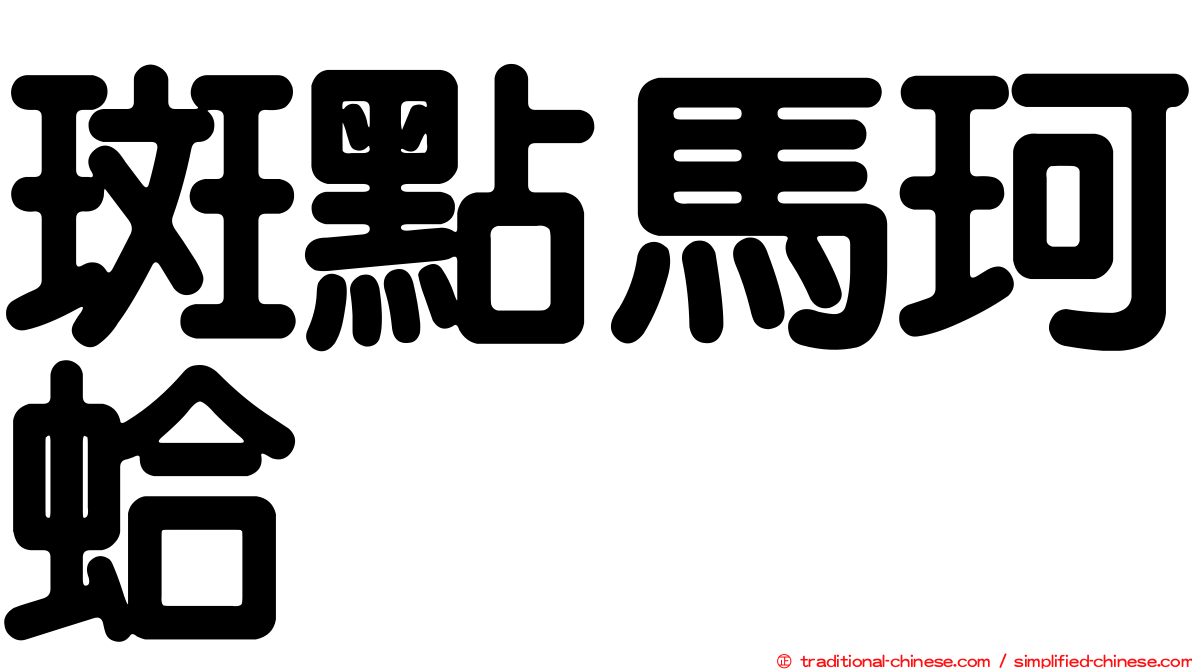 斑點馬珂蛤