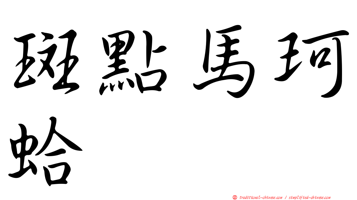 斑點馬珂蛤
