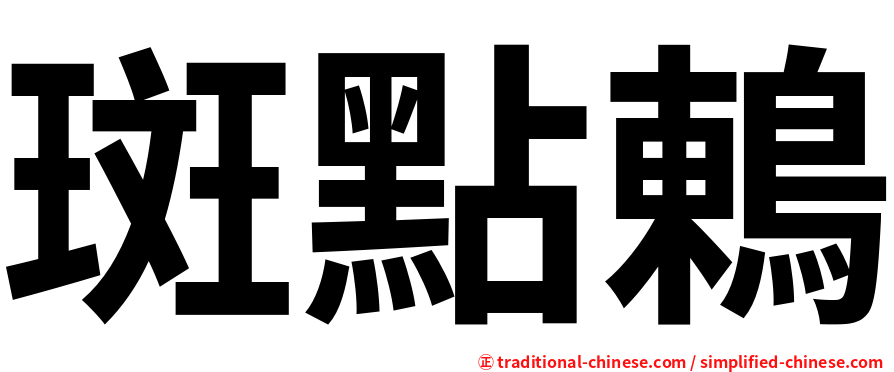 斑點鶇