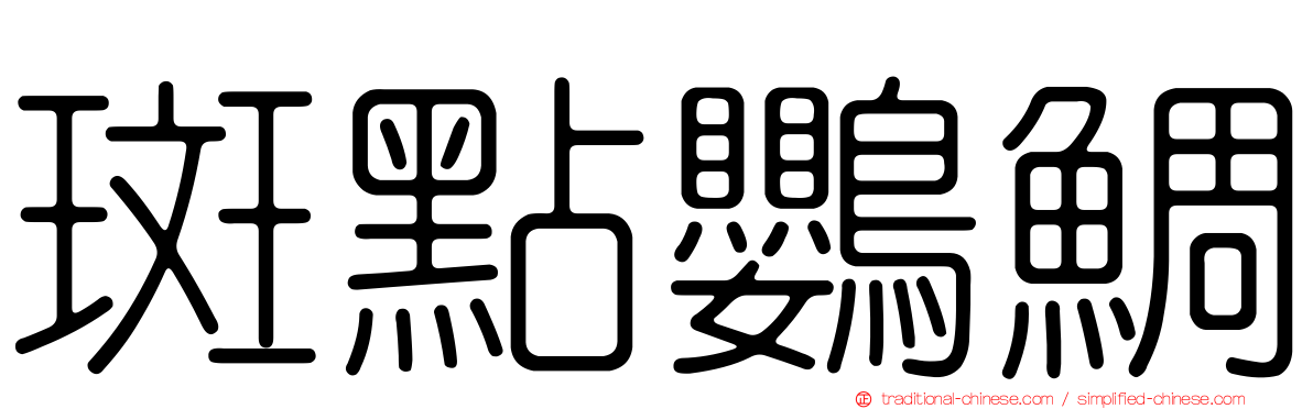 斑點鸚鯛