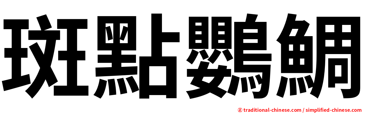 斑點鸚鯛