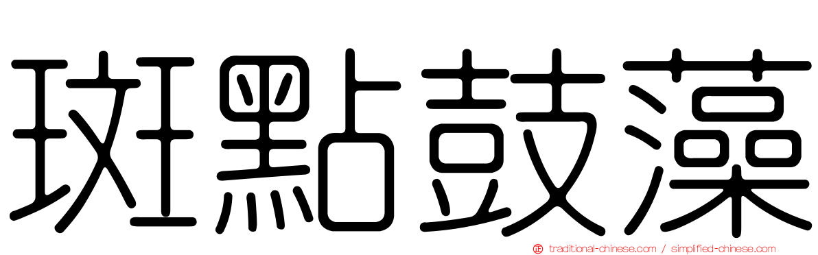 斑點鼓藻