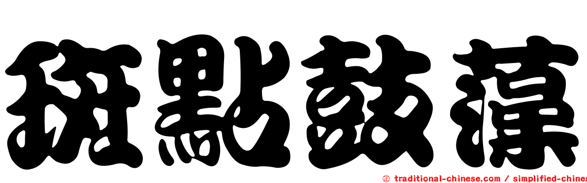 斑點鼓藻