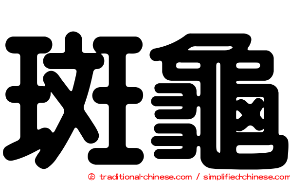斑龜