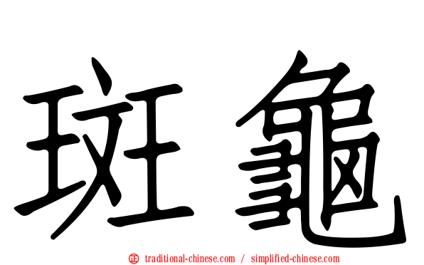 斑龜