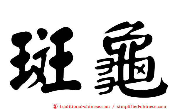 斑龜