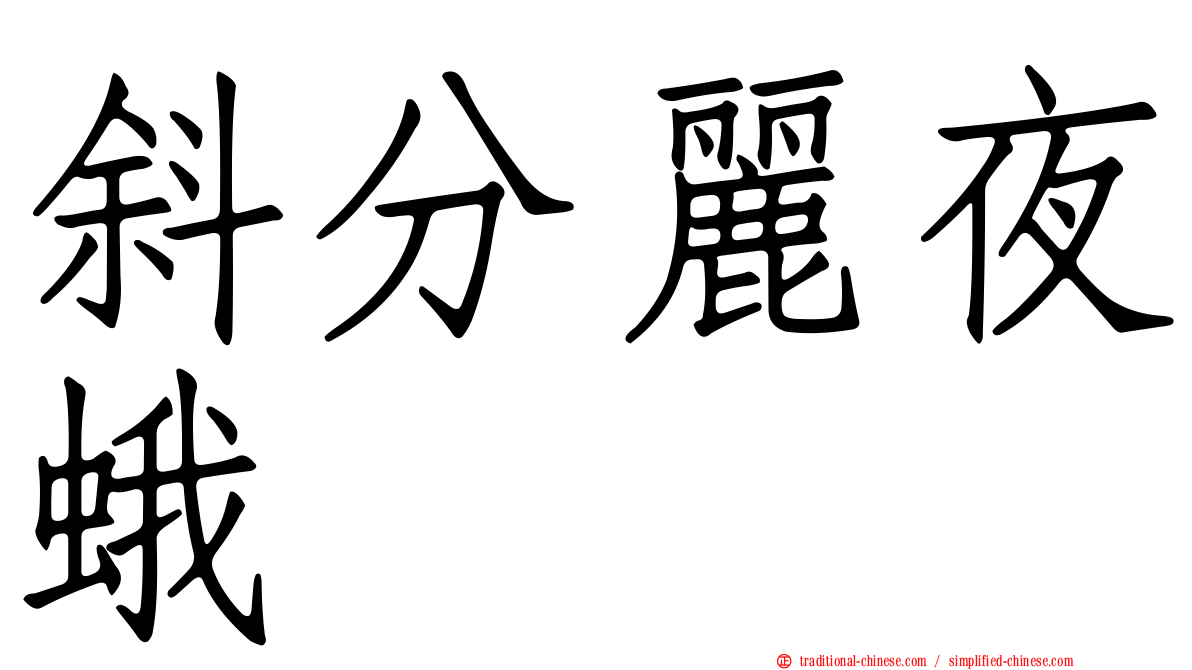 斜分麗夜蛾