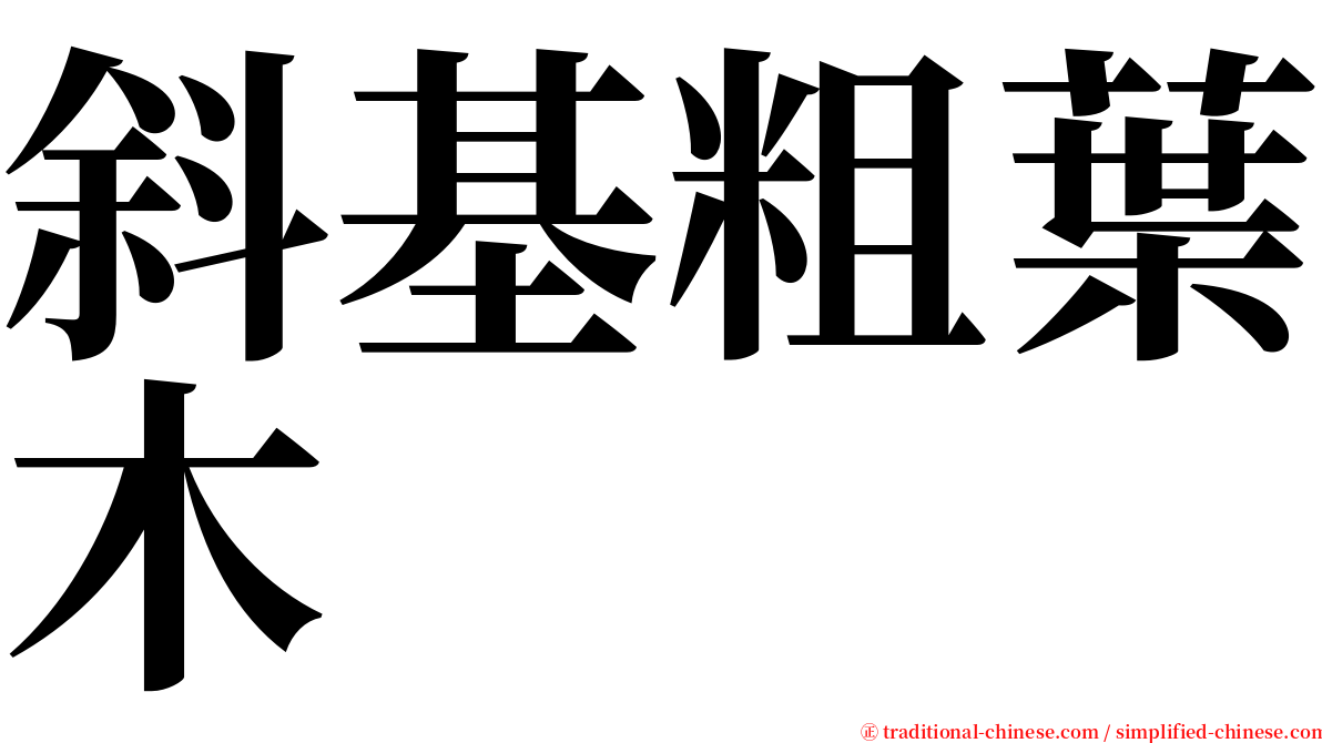 斜基粗葉木 serif font