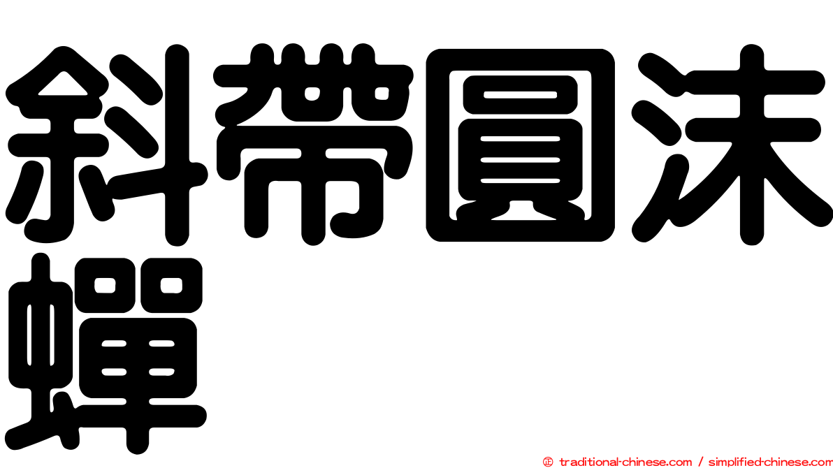 斜帶圓沫蟬