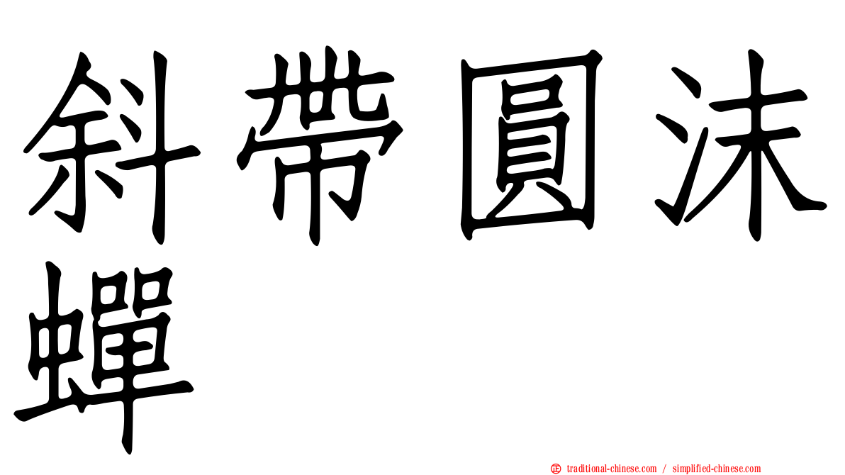 斜帶圓沫蟬