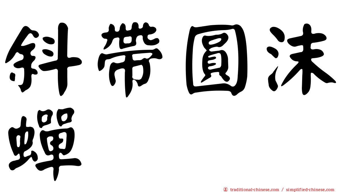 斜帶圓沫蟬