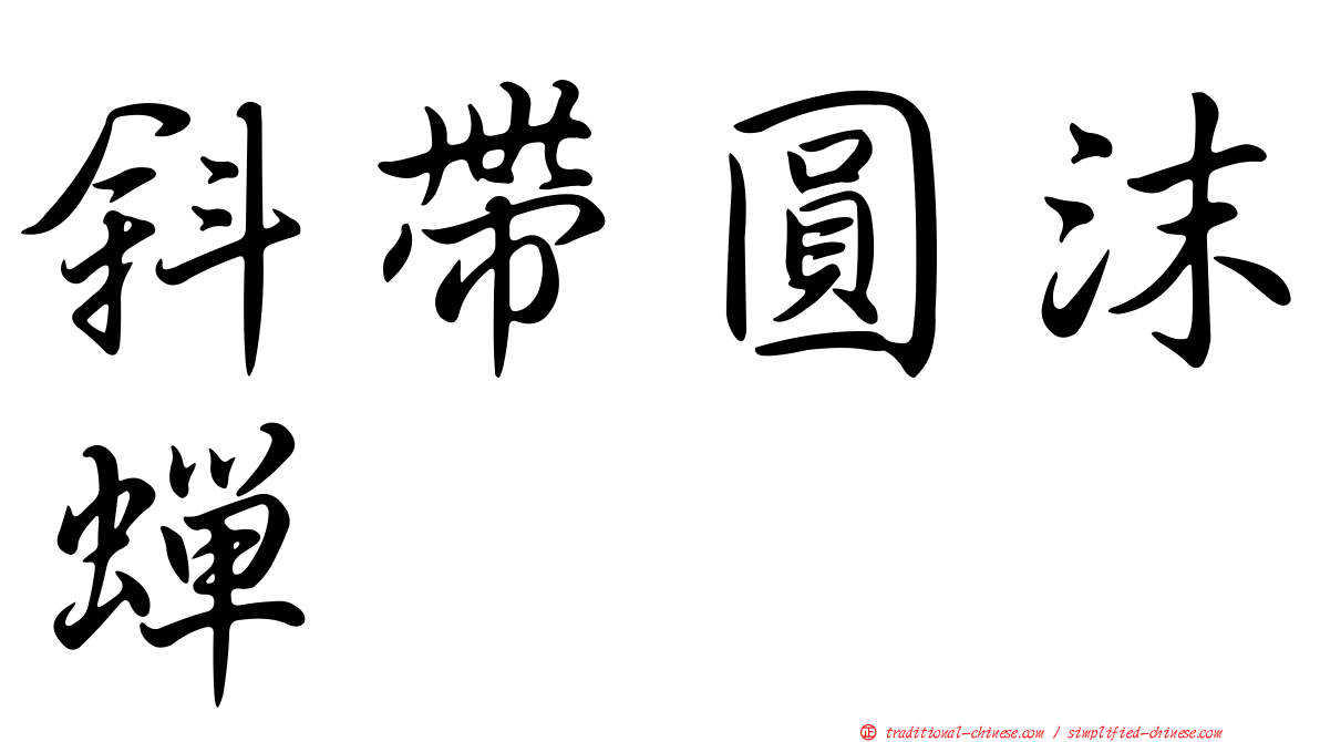 斜帶圓沫蟬