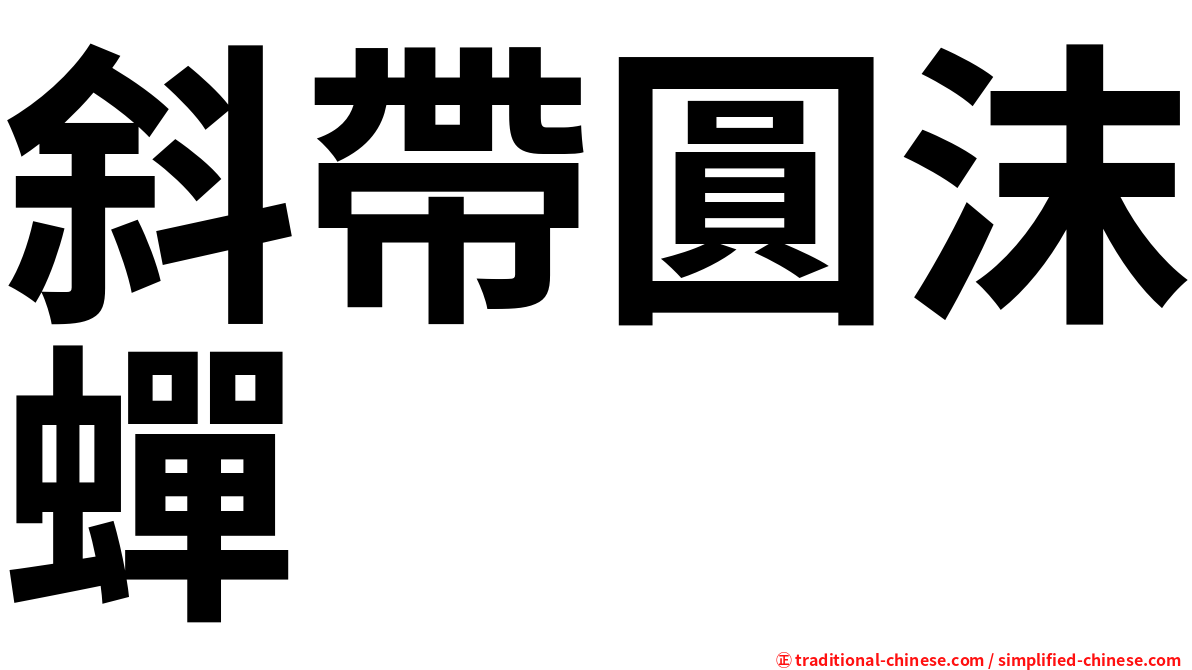 斜帶圓沫蟬