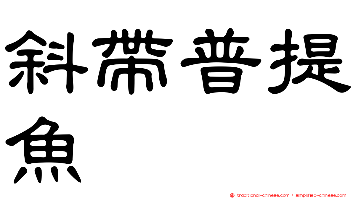 斜帶普提魚