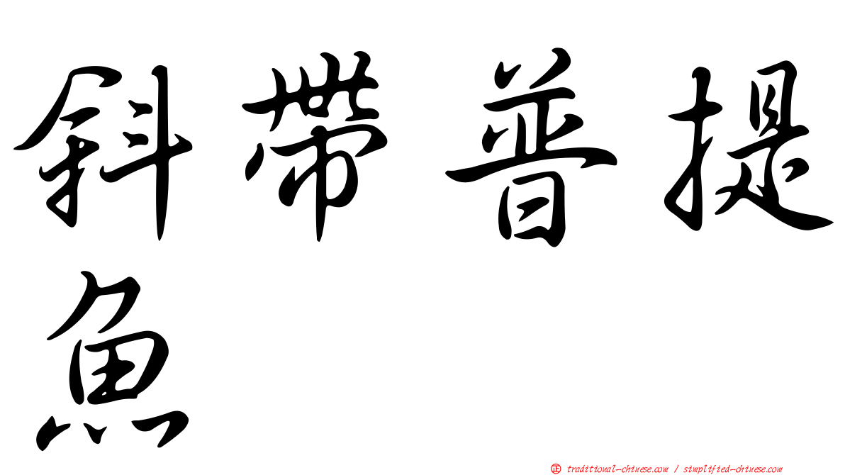 斜帶普提魚