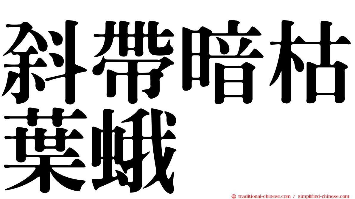 斜帶暗枯葉蛾