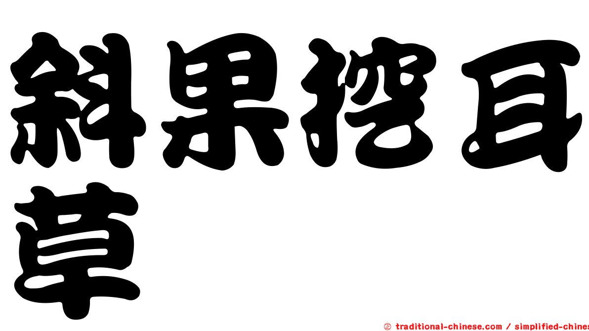斜果挖耳草