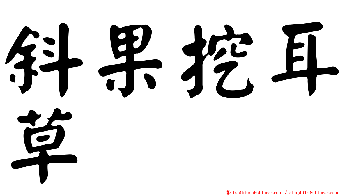 斜果挖耳草