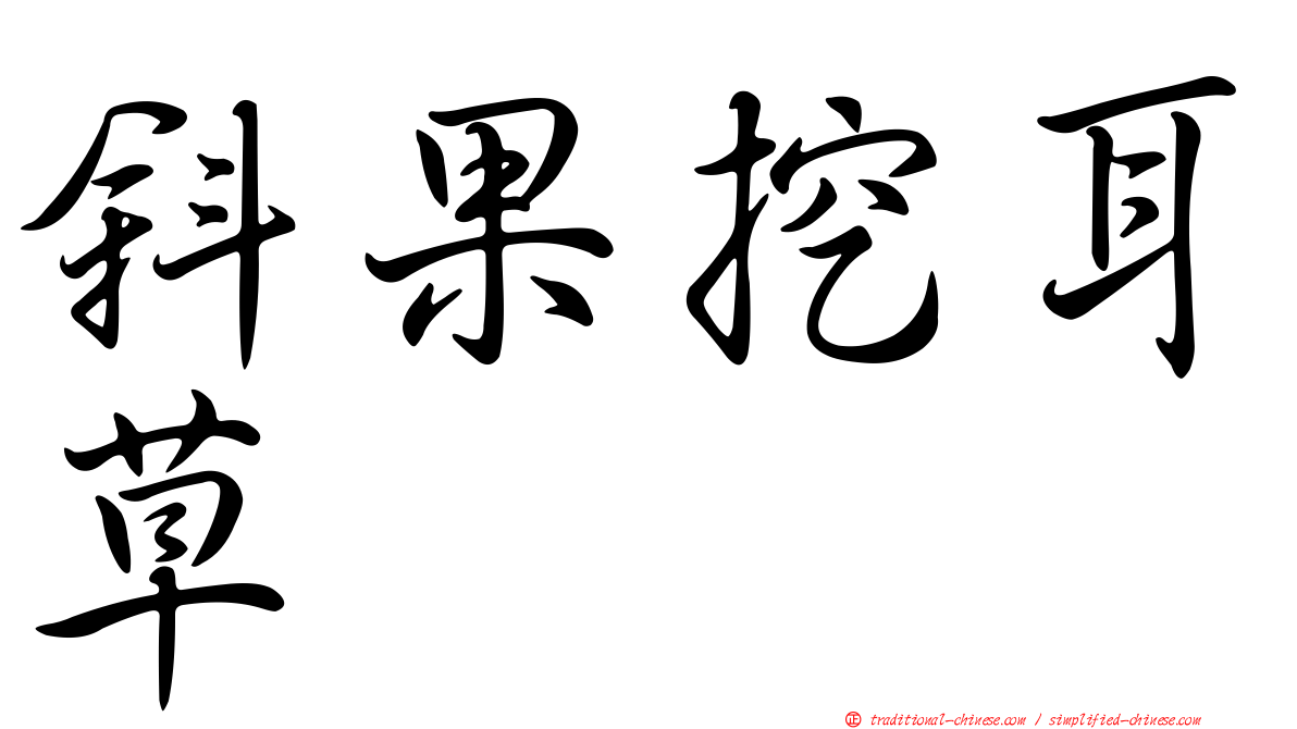 斜果挖耳草