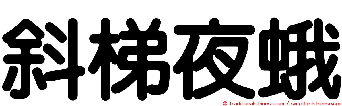 斜梯夜蛾