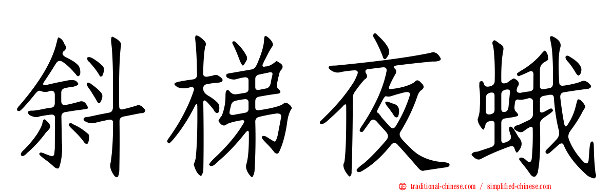 斜梯夜蛾