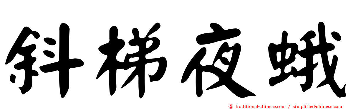 斜梯夜蛾