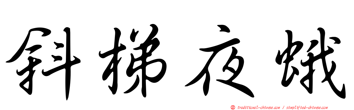 斜梯夜蛾