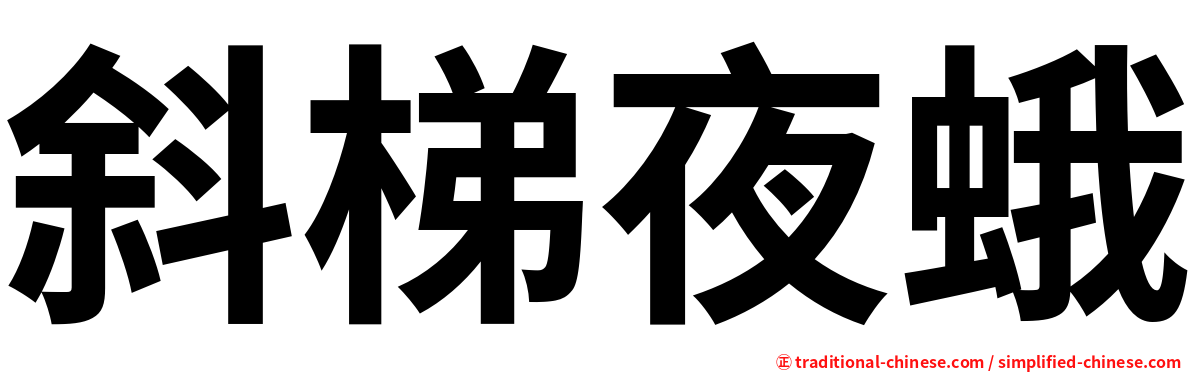 斜梯夜蛾