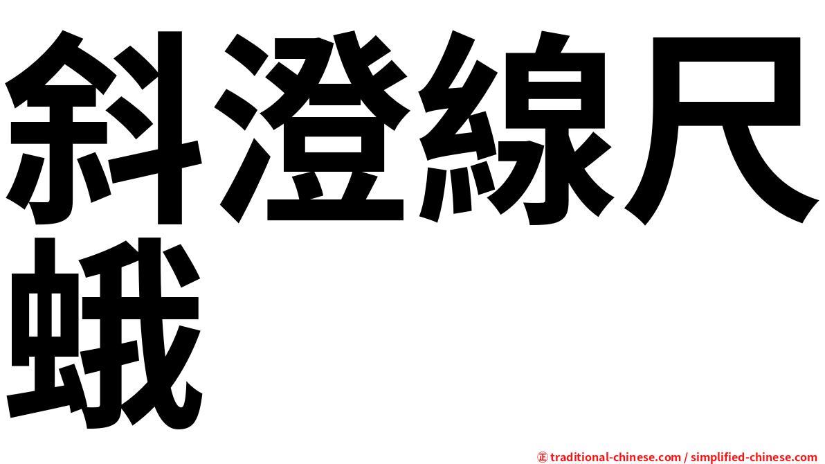 斜澄線尺蛾