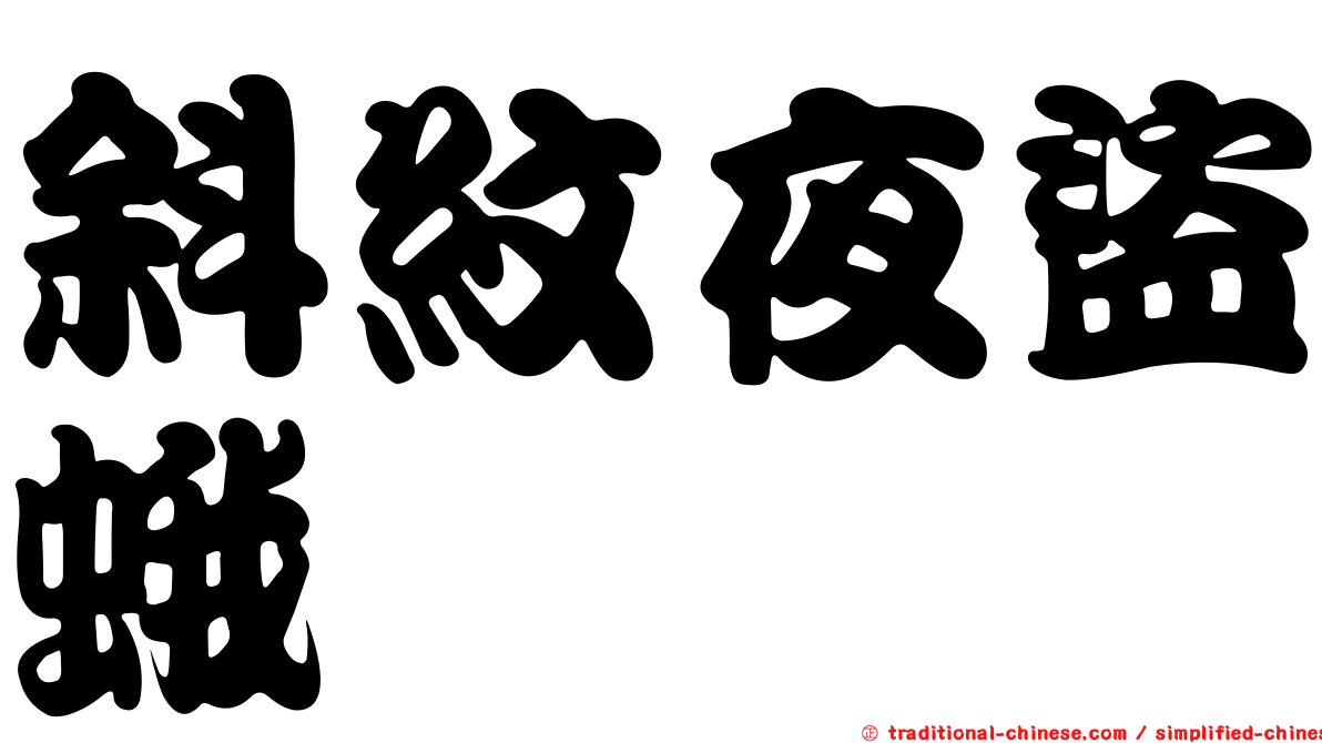 斜紋夜盜蛾