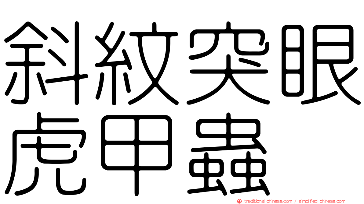 斜紋突眼虎甲蟲