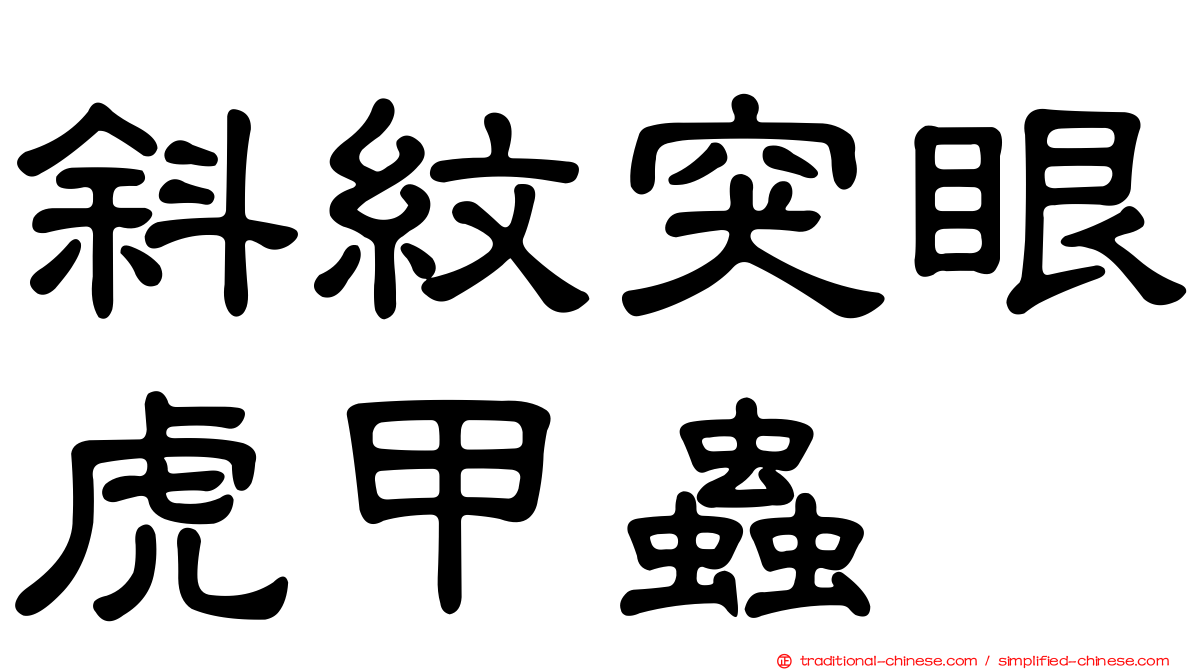 斜紋突眼虎甲蟲