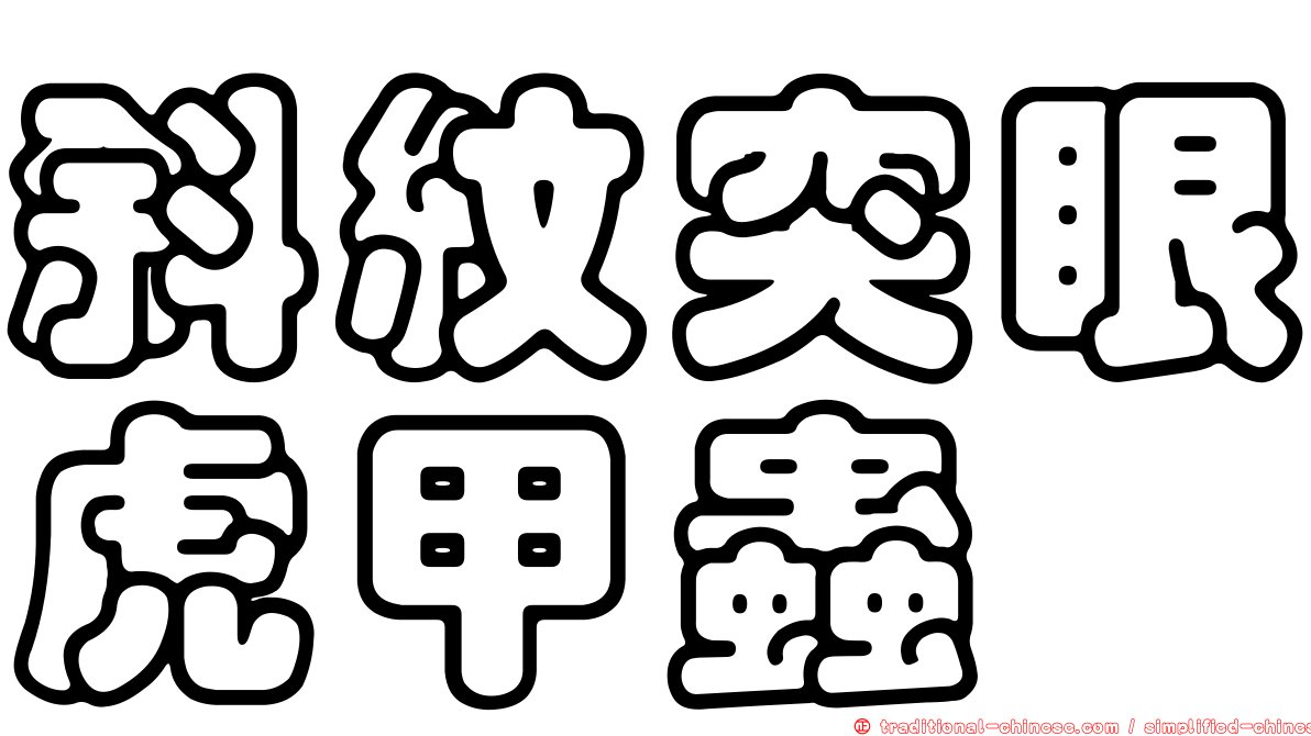 斜紋突眼虎甲蟲