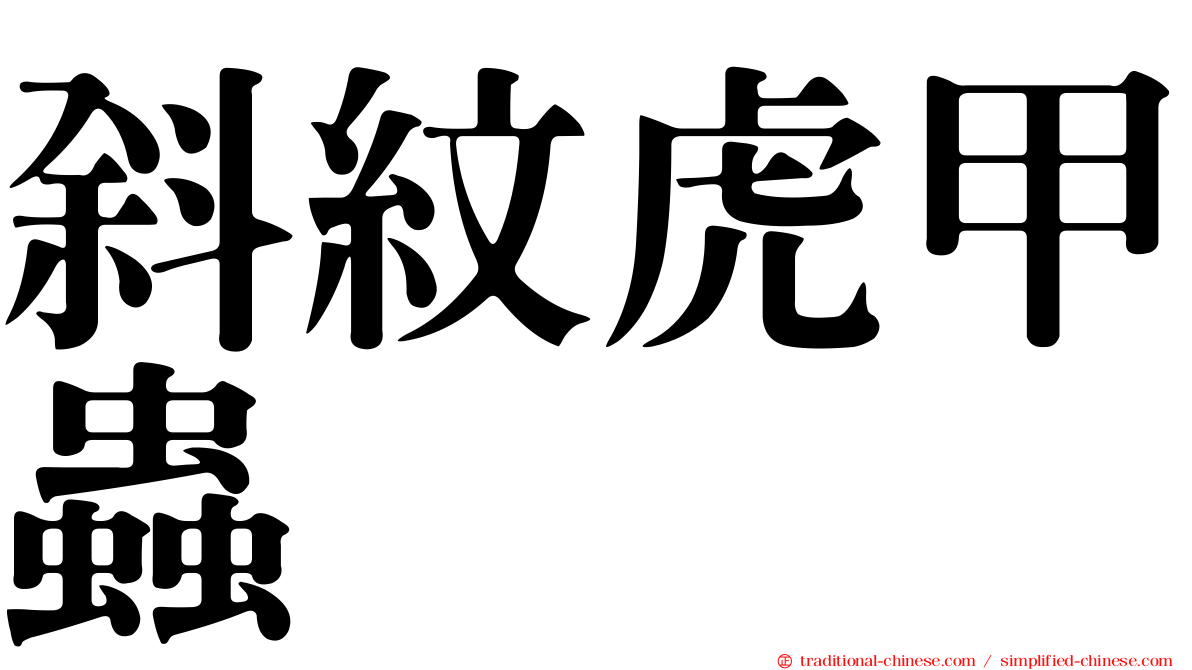 斜紋虎甲蟲