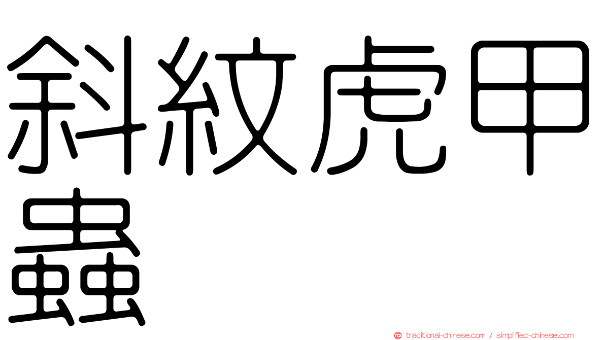 斜紋虎甲蟲