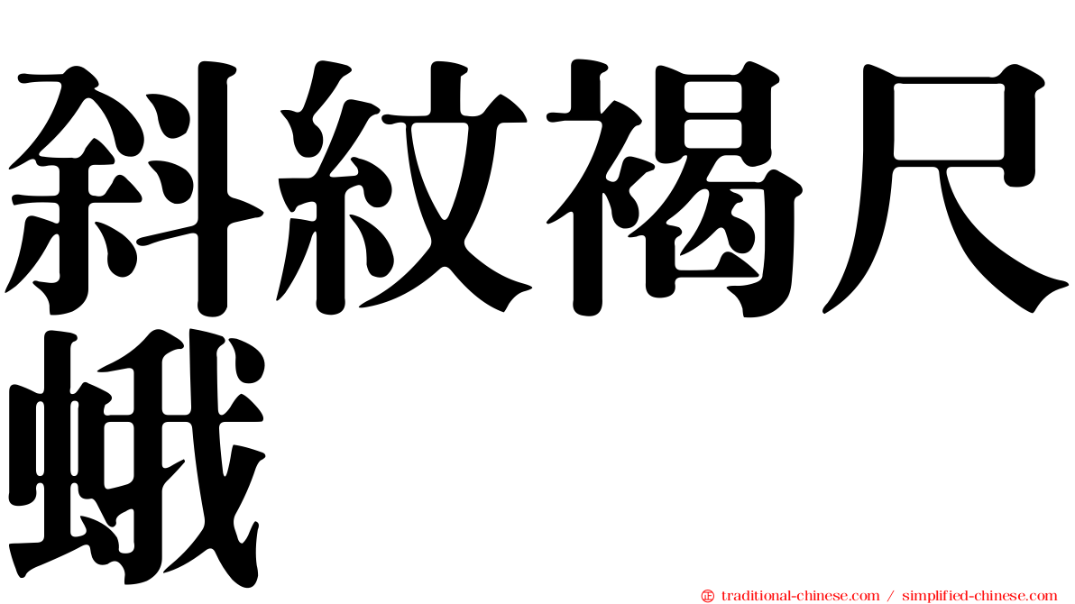 斜紋褐尺蛾