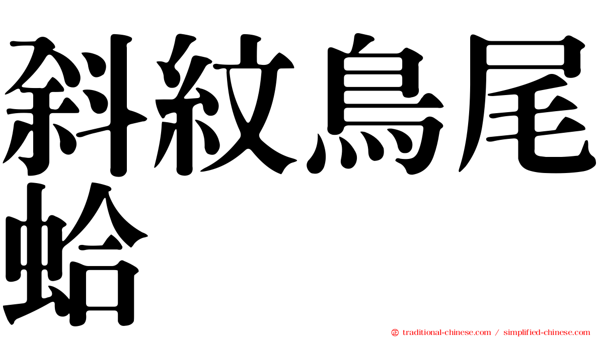 斜紋鳥尾蛤