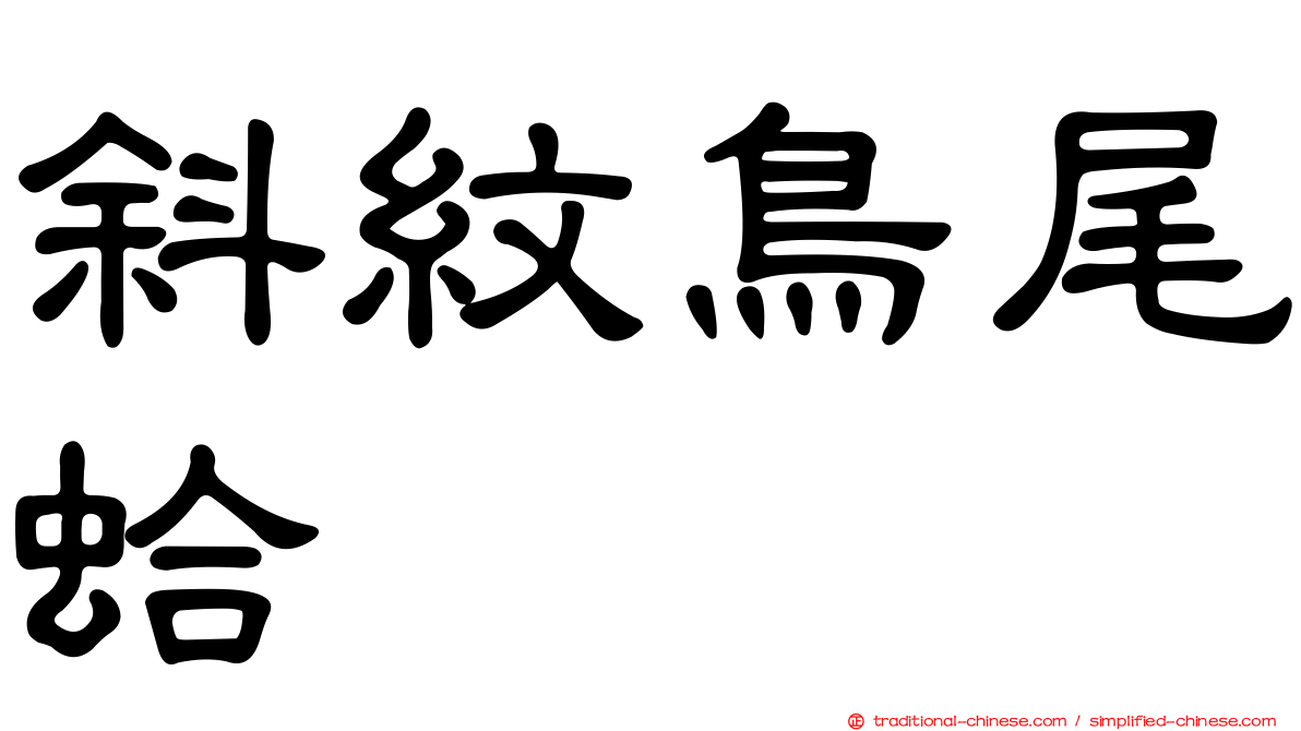 斜紋鳥尾蛤
