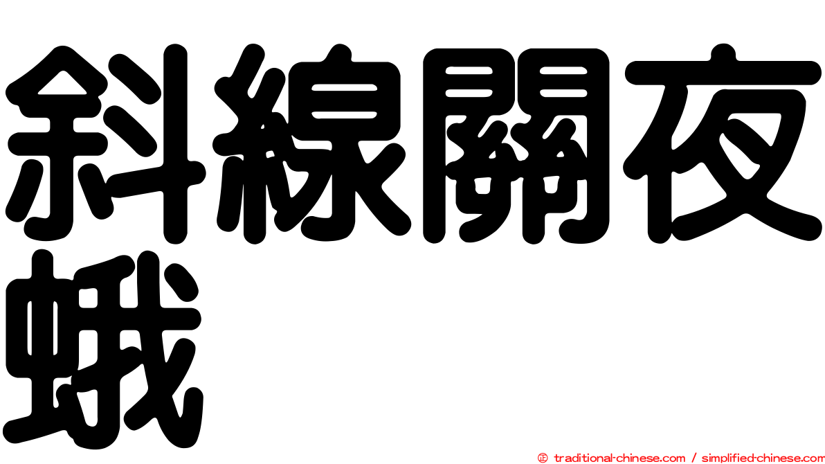斜線關夜蛾