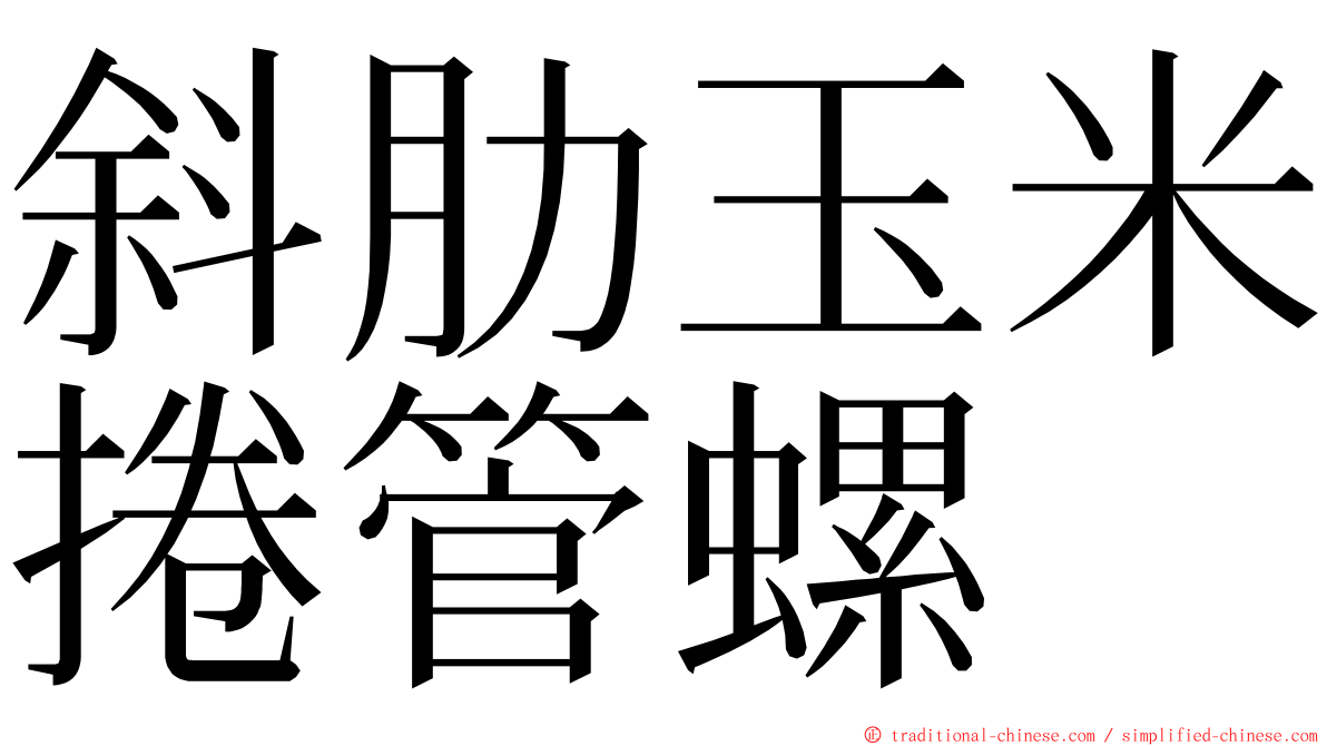 斜肋玉米捲管螺 ming font