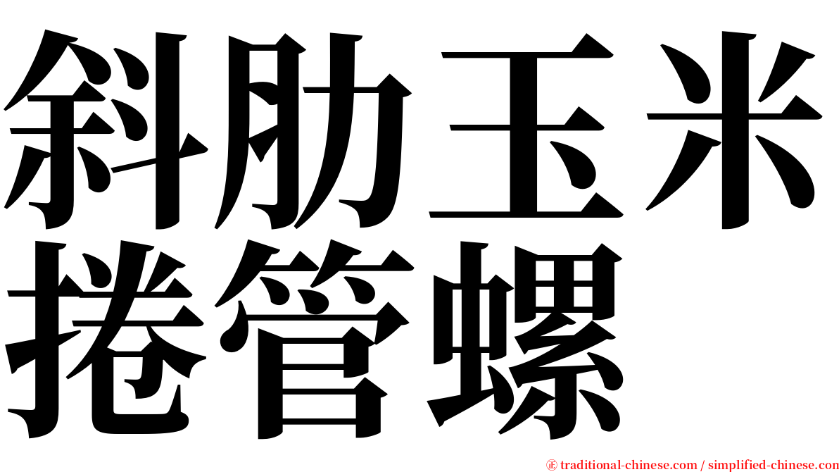 斜肋玉米捲管螺 serif font