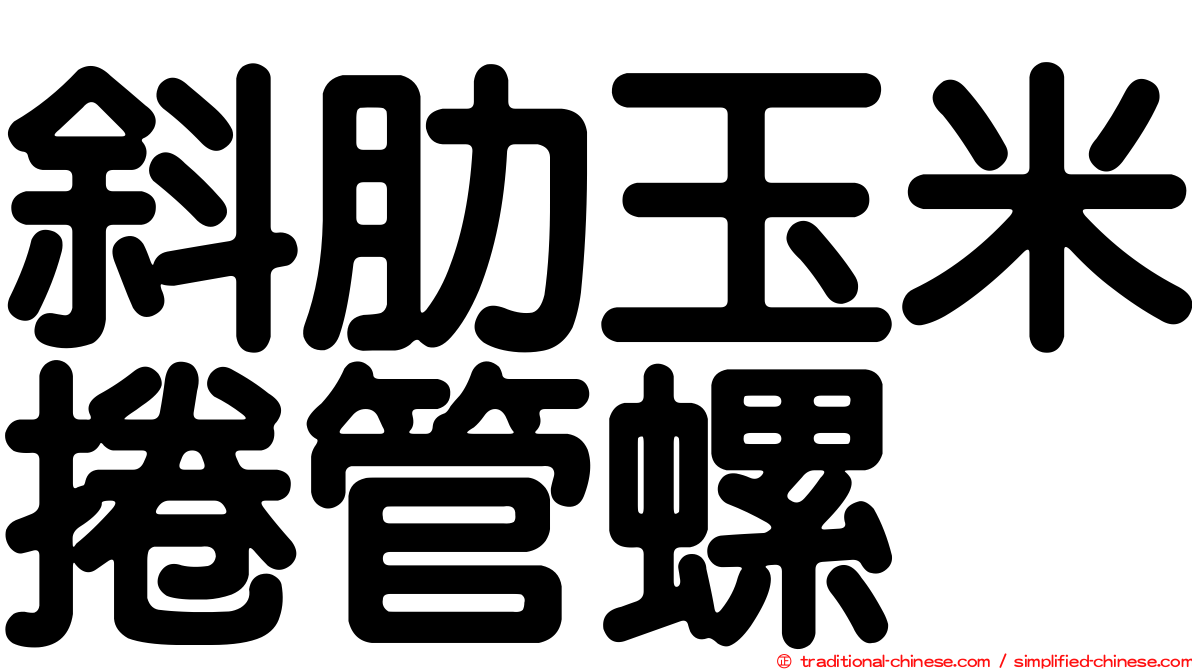 斜肋玉米捲管螺