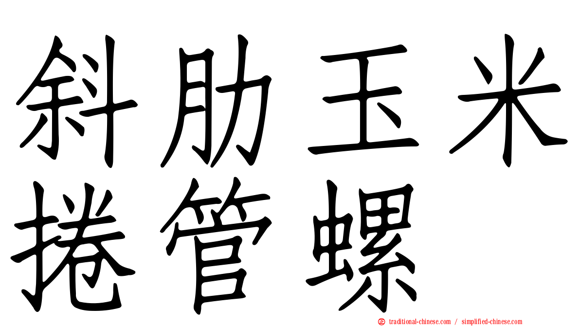 斜肋玉米捲管螺