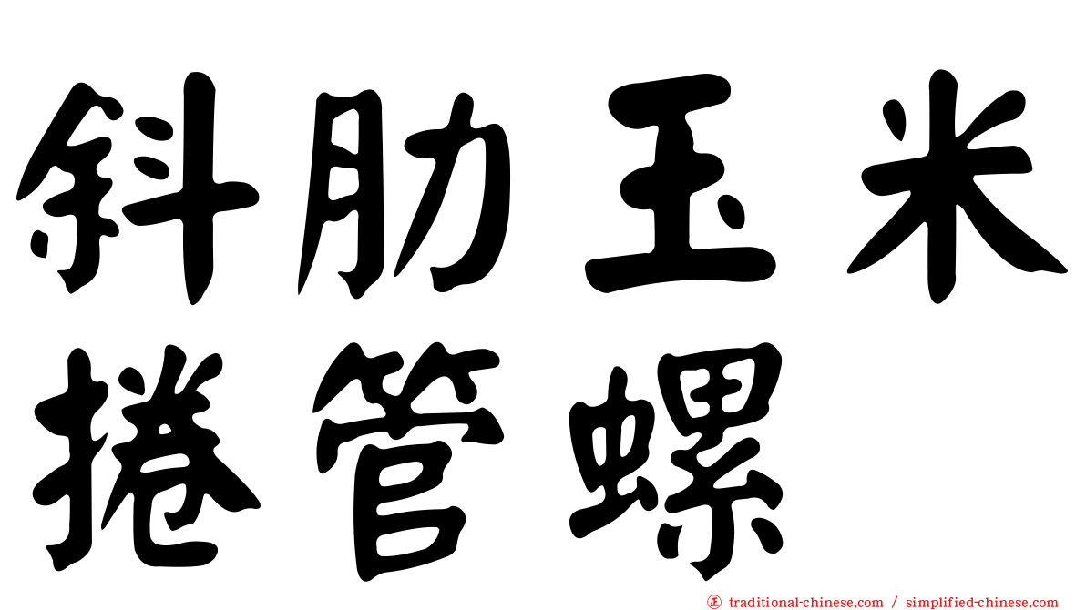 斜肋玉米捲管螺