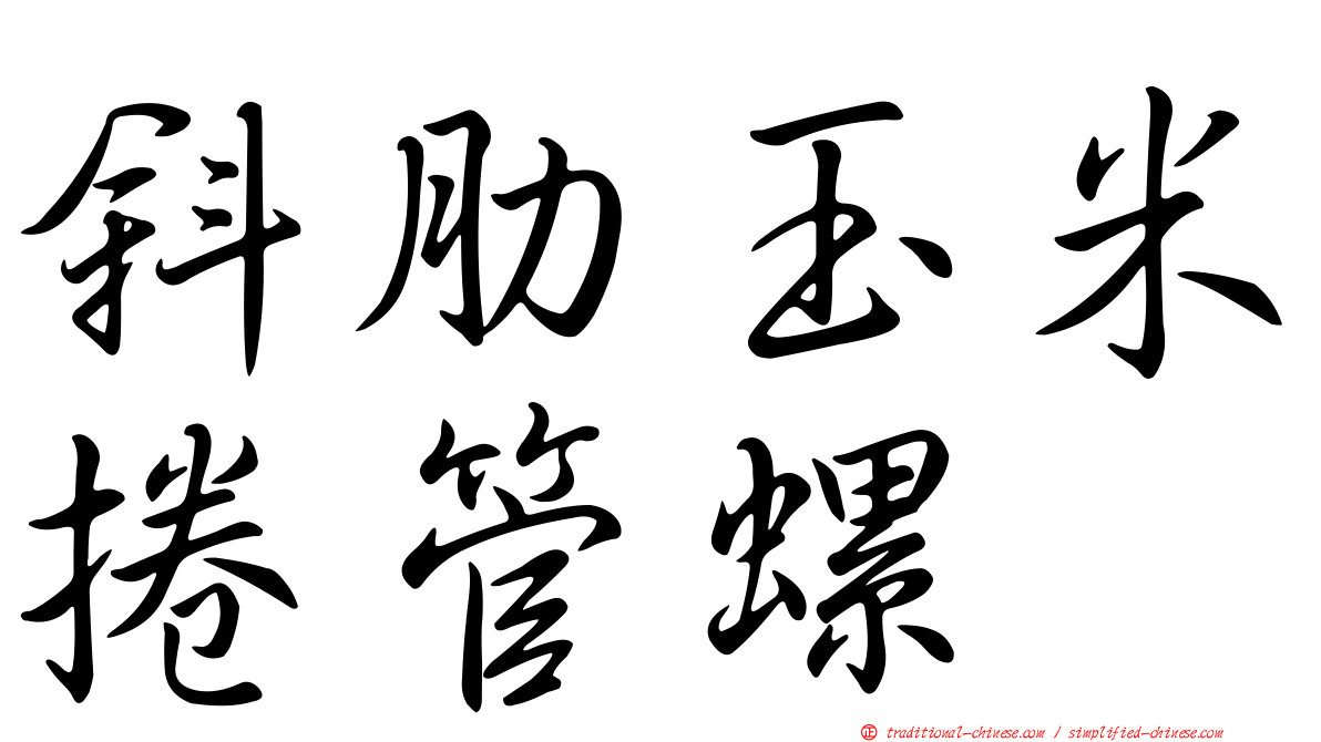 斜肋玉米捲管螺