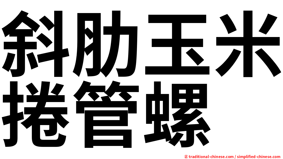 斜肋玉米捲管螺